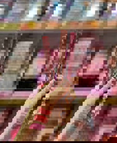 لیپ پلامپر دراگون